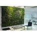 Natural Indoor Vertical Garden (550 Rs -900 Rs) (Rates / Sqft)